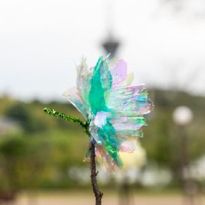 みんなの「希望の花」を
咲かせよう

