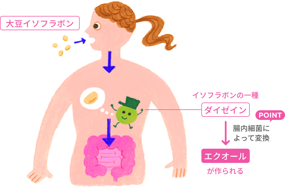 パワーの源であることがわかりました