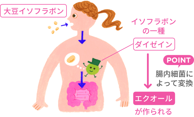 パワーの源であることがわかりました