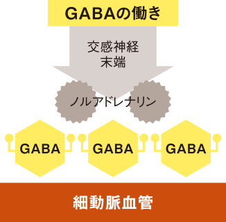 GABAの働き