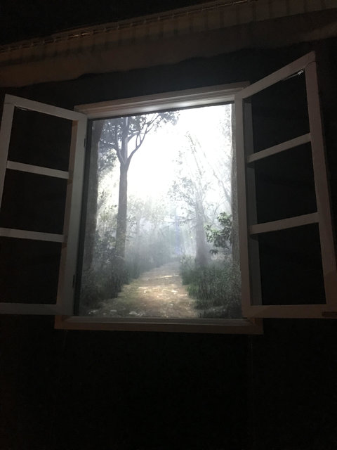 窓から森