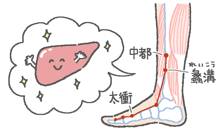 沈黙の臓器 肝臓 を元気にする足つぼは からだにいいこと