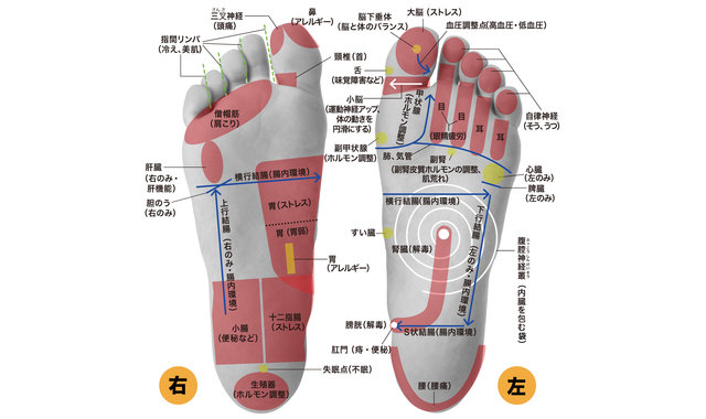 土踏まずがゴリゴリする人は注意 不調改善に 解毒足裏マッサージ からだにいいこと