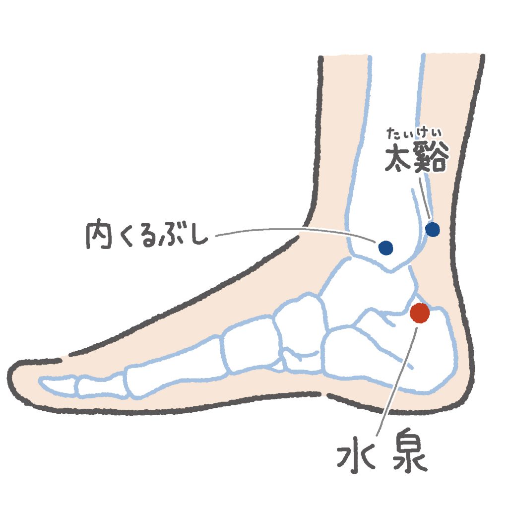 むくみや水分代謝に 腎臓を元気にするおすすめの足つぼ4選 からだにいいこと