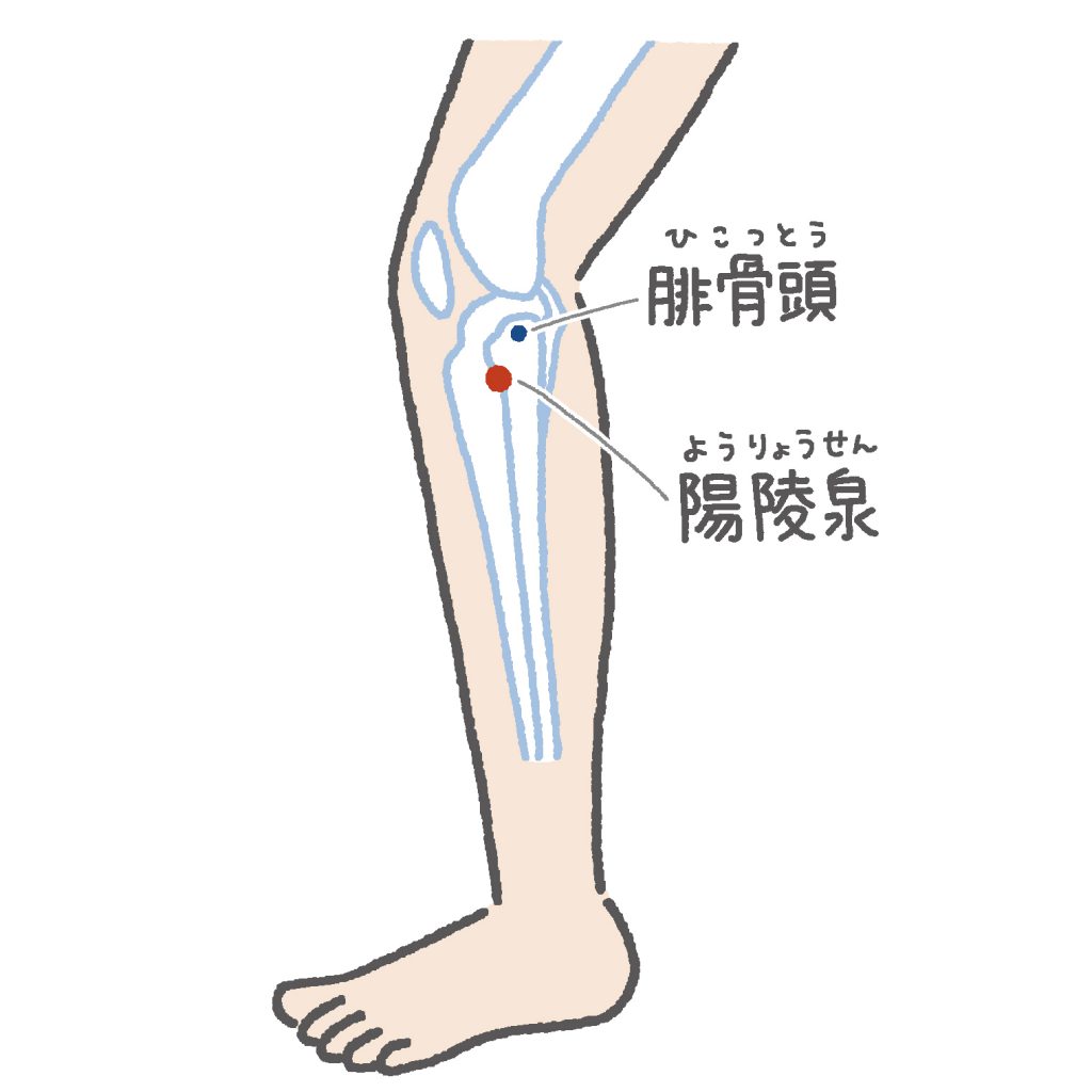 腰痛 におすすめの足つぼ5選で痛みを撃退 押し方やコツは からだにいいこと