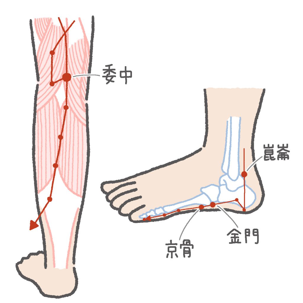 腰痛 におすすめの足つぼ5選で痛みを撃退 押し方やコツは からだにいいこと