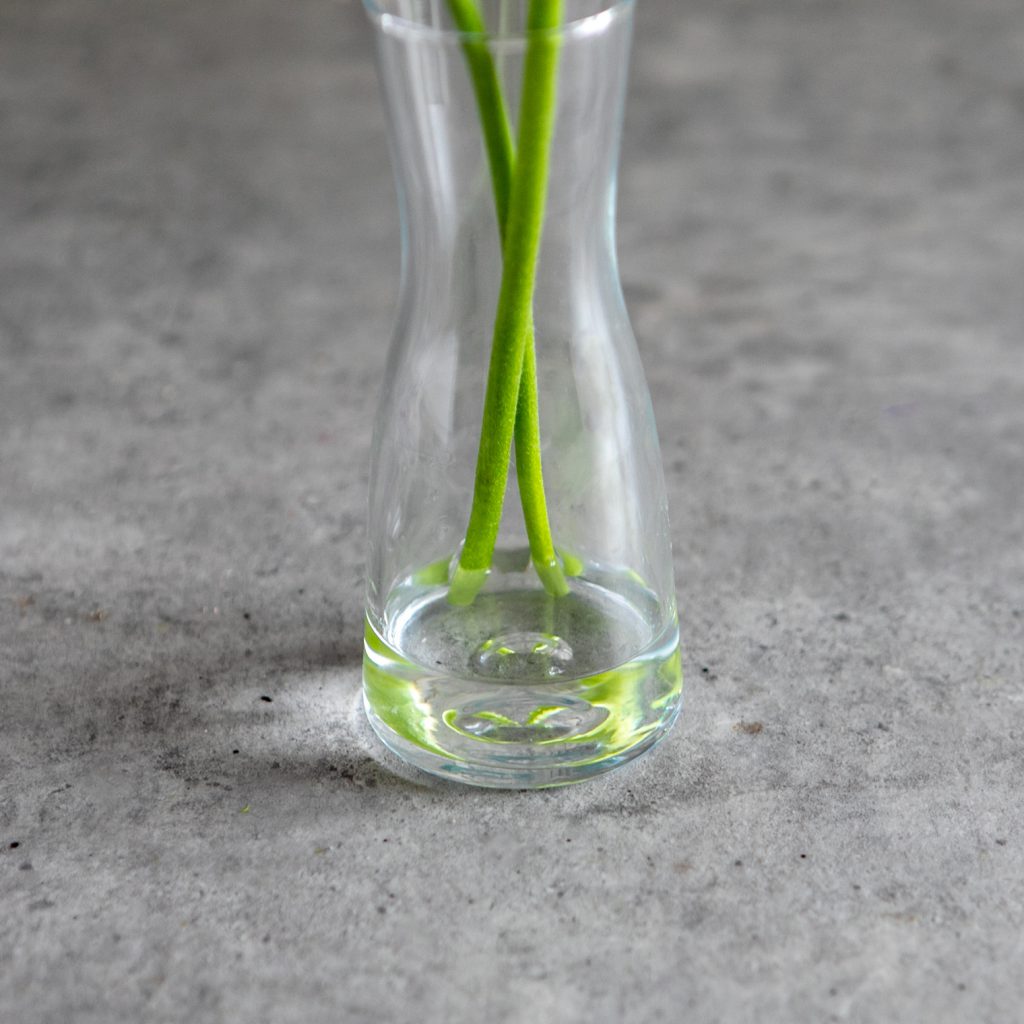 花瓶の水は少な目に活けるのが長持ちのコツ