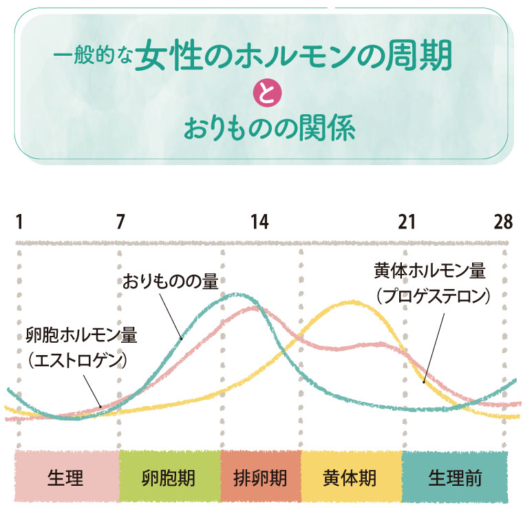 一般的な女性のホルモン周期