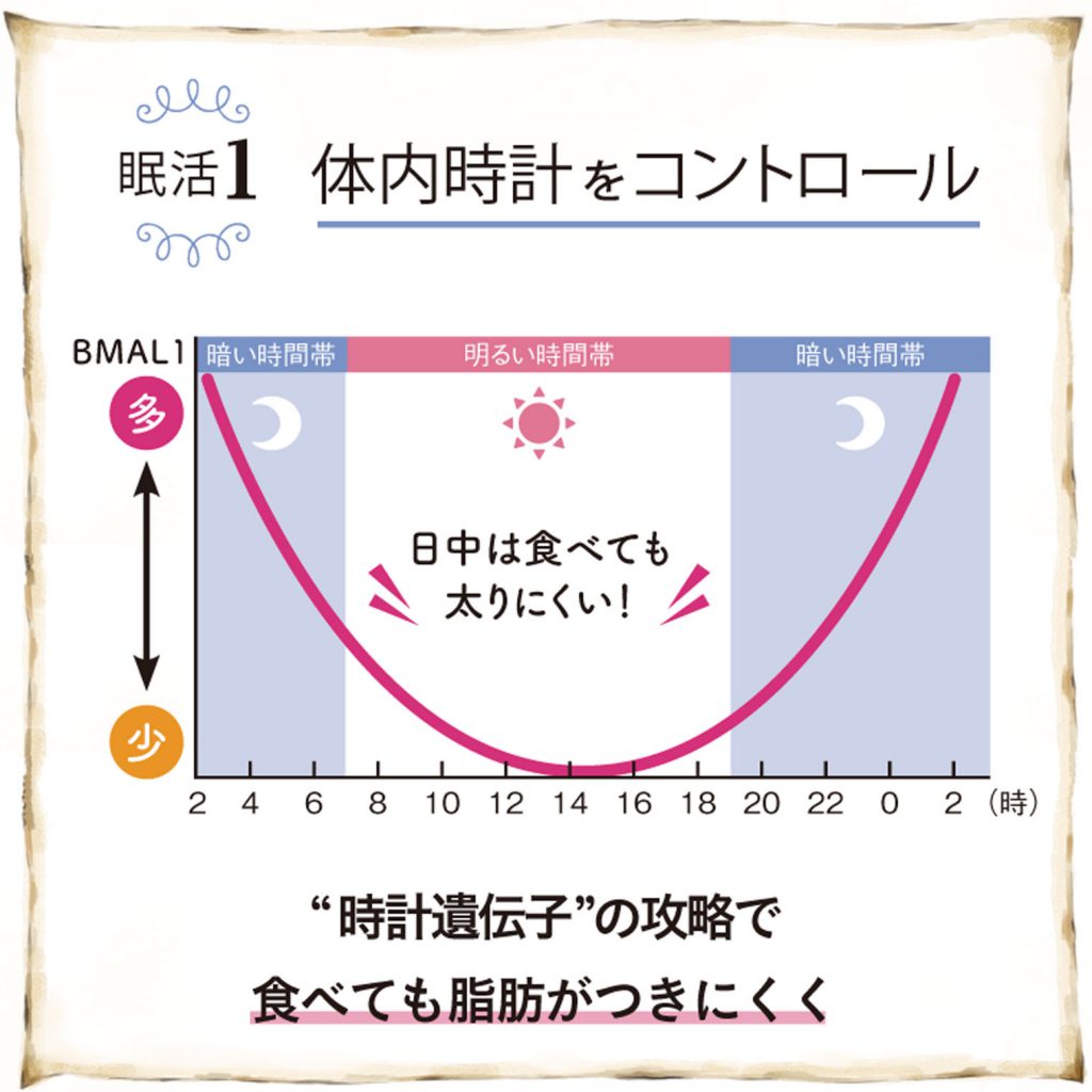 ヤセる眠り方　体内時計