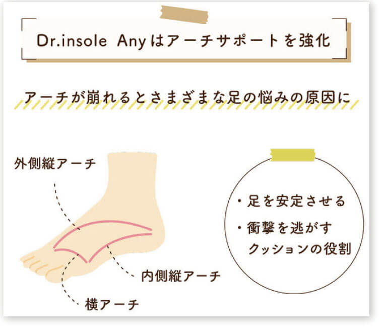 Dr.insole Anyはアーチサポートを強化