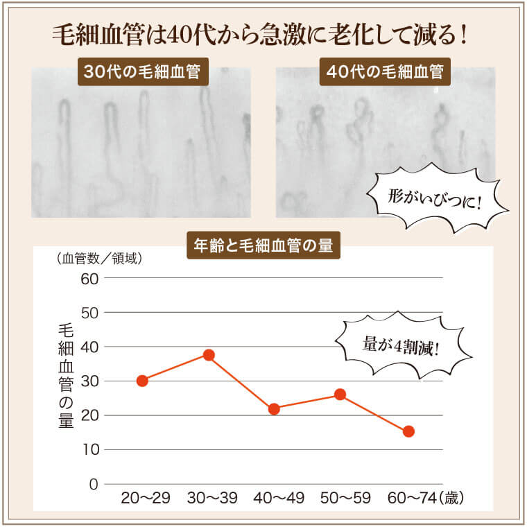 毛細血管は40代から急激に老化して減る！