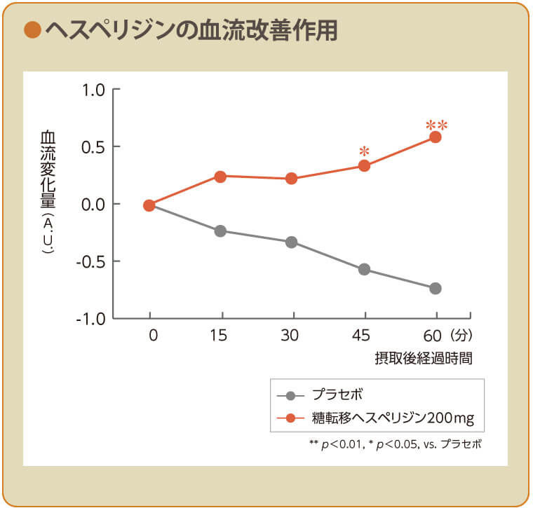 ヘスペリジンの血流改善作用　グラフ