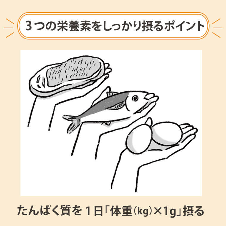 ３つの栄養素をしっかり摂るポイント
たんぱく質を１日「体重（kg✕1g」摂る
