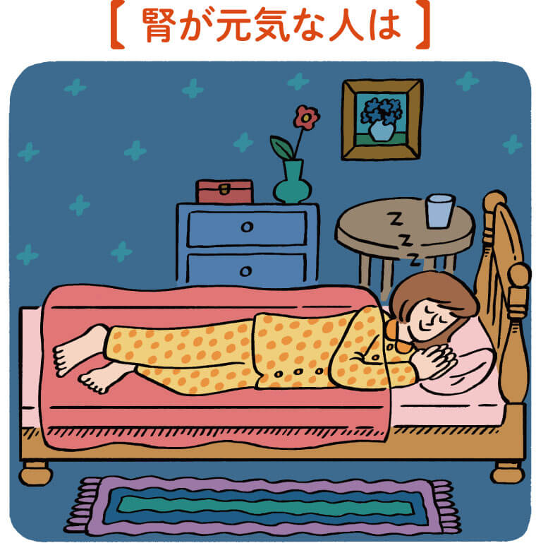 腎が元気な人はスムーズに眠れる　イラスト