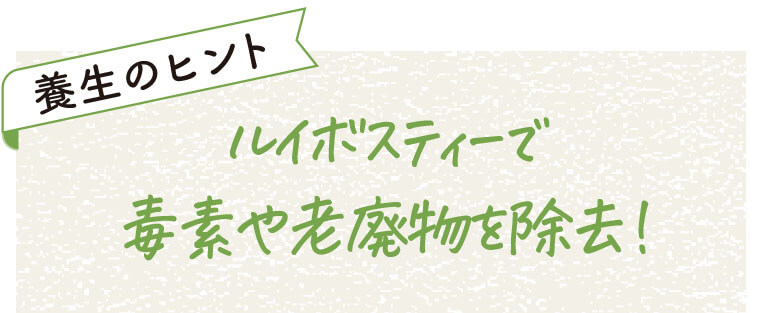 養生のヒント
ルイボスティーで毒素や老廃物を除去！