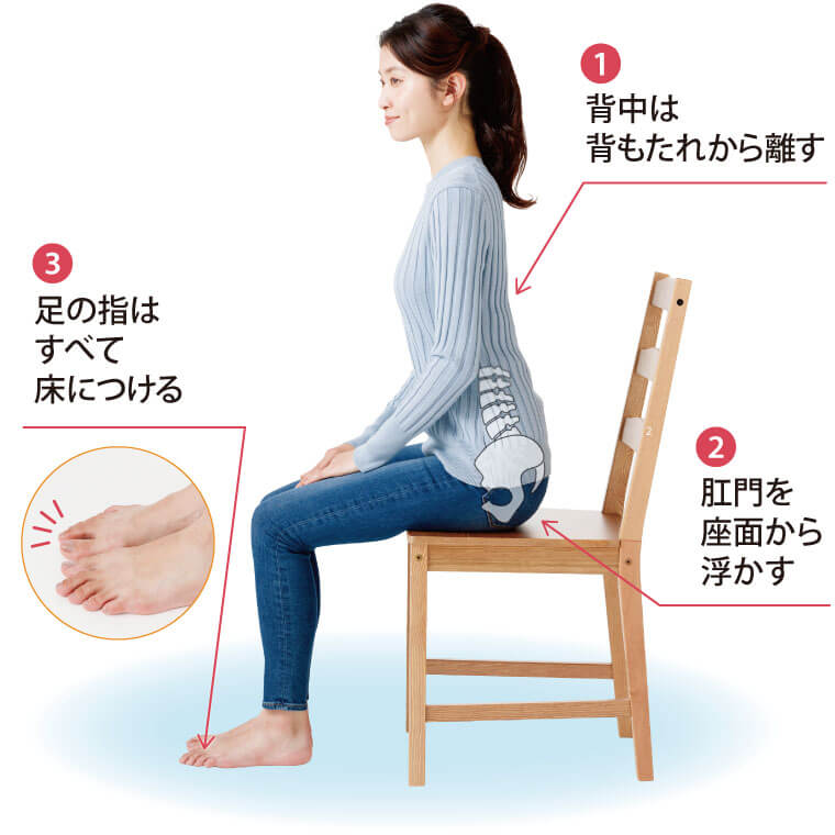 骨盤を立てれば座っていても代謝は高まる 骨盤の立て方