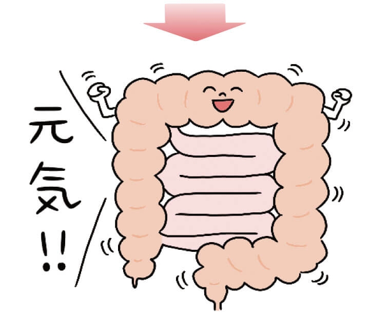 血流が増えて腸が動き、便秘・ガス腹が解消