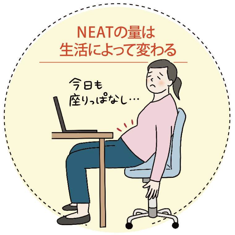 NEATの量は生活によって変わる
