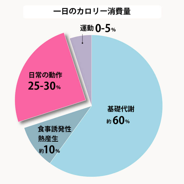 1日のカロリー消費量のグラフ