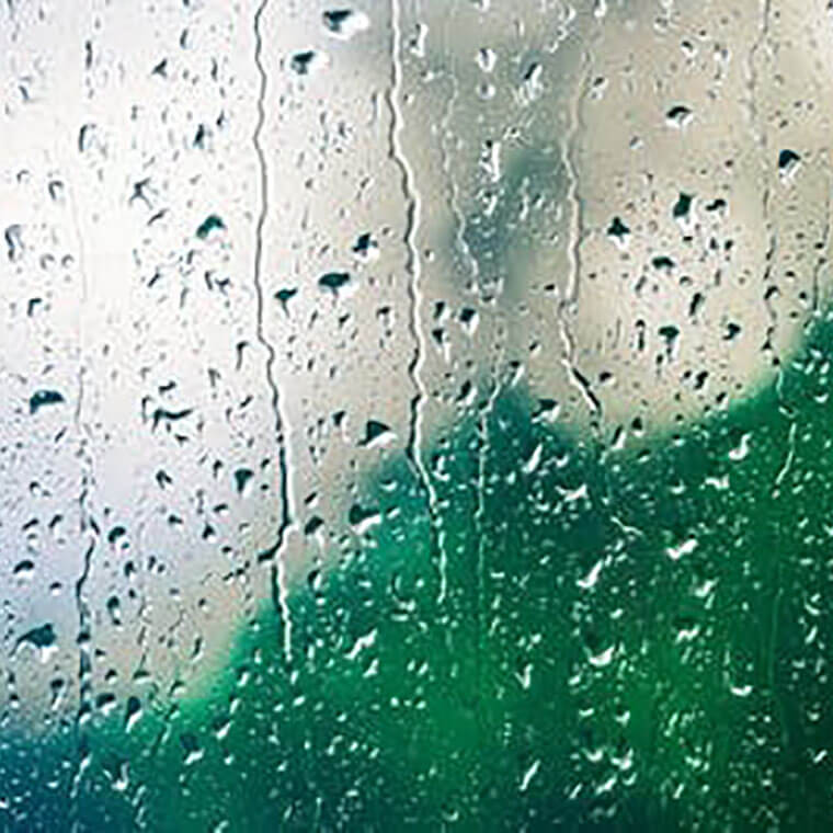 雨