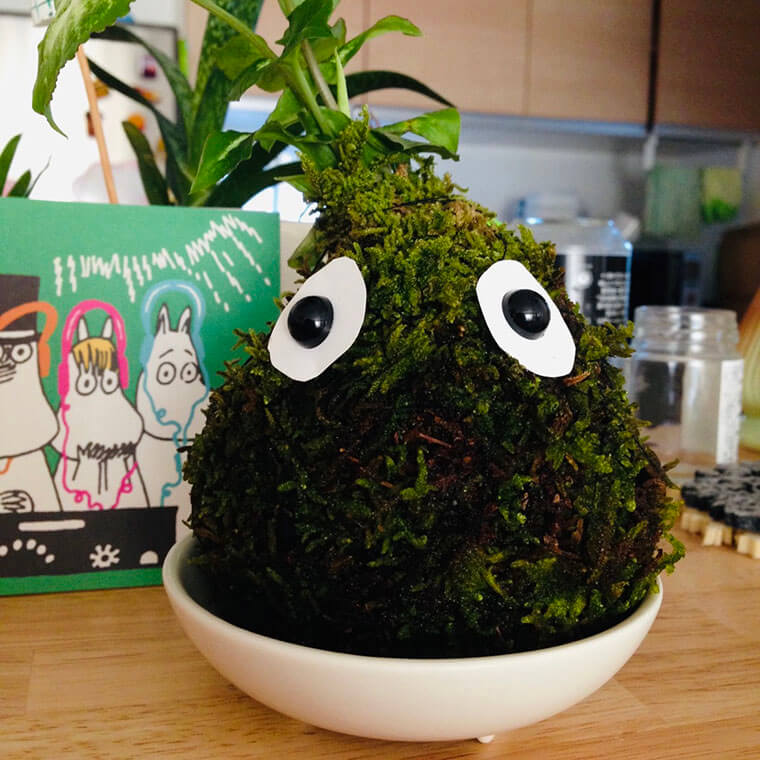 苔玉