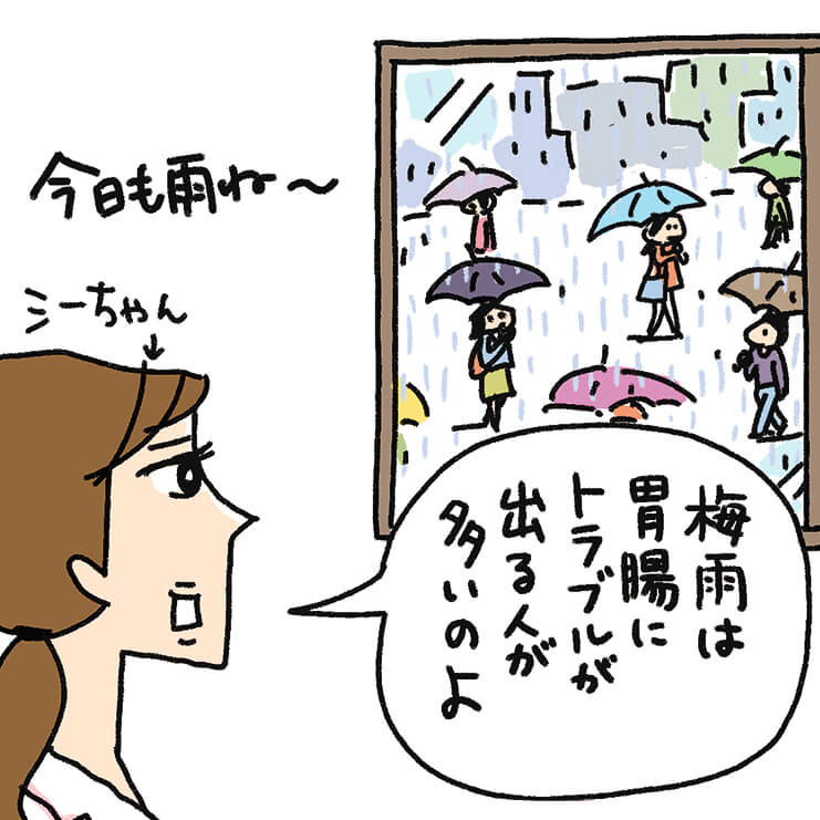 今日も雨