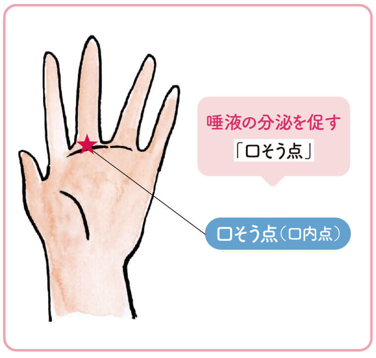 唾液の分泌を促す「口そう点」