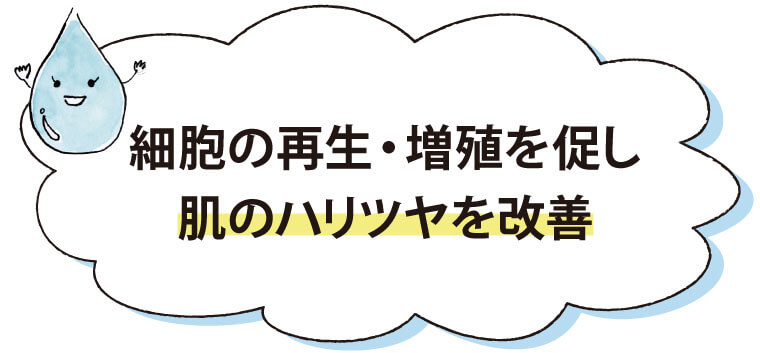 細胞の再生・増殖を促し肌のハリツヤを改善