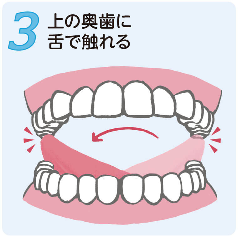 【３】上の奥歯に舌で触れる