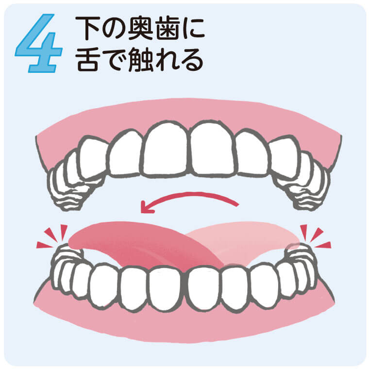 【４】下の奥歯に舌で触れる