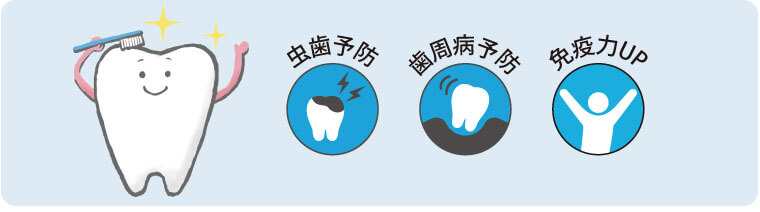 むし歯予防・歯周病予防・免疫力UP
