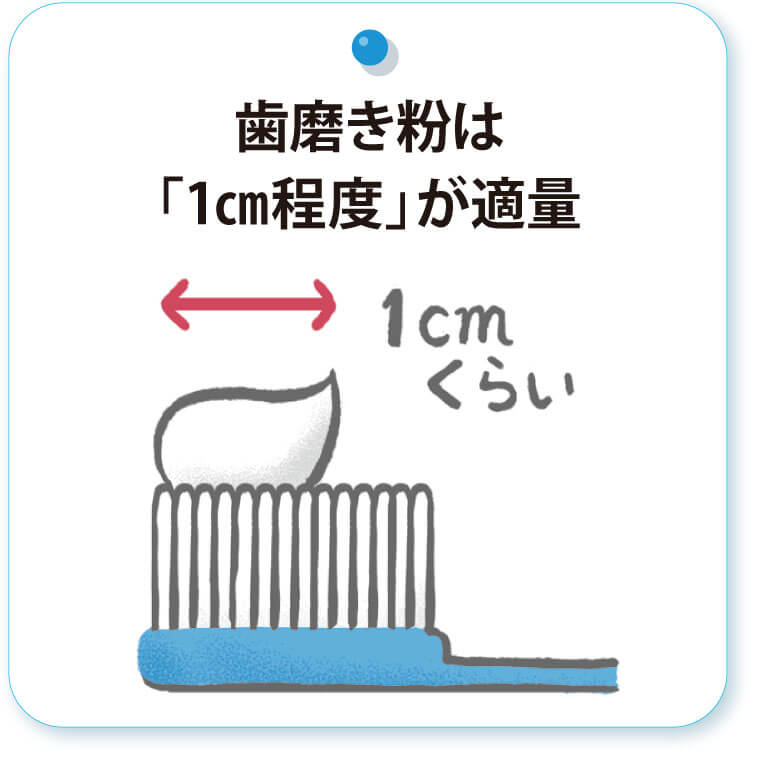 歯磨き粉は「１cm程度」が適量