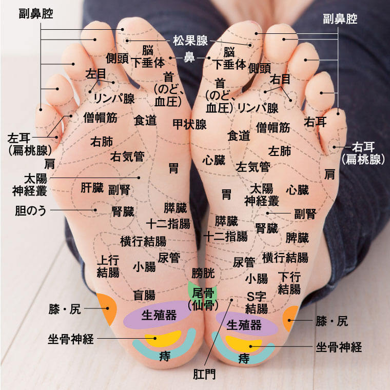 かかとの足つぼが痛い理由は ゴリゴリ する位置と不調の関係を解説 からだにいいこと