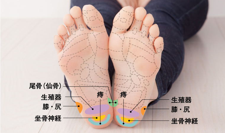 かかとの足つぼが痛い理由は ゴリゴリ する位置と不調の関係を解説 からだにいいこと