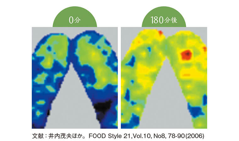 ナットウキナーゼ摂取による血流の比較