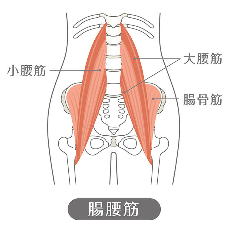 腸腰筋