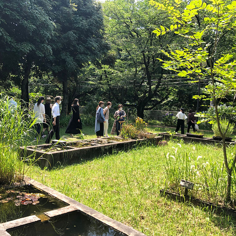 日本薬科大学