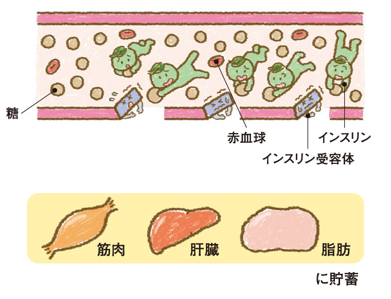 糖質オフのいいこと