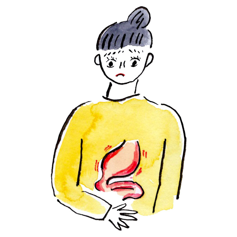 胃腸に熱がこもったタイプ