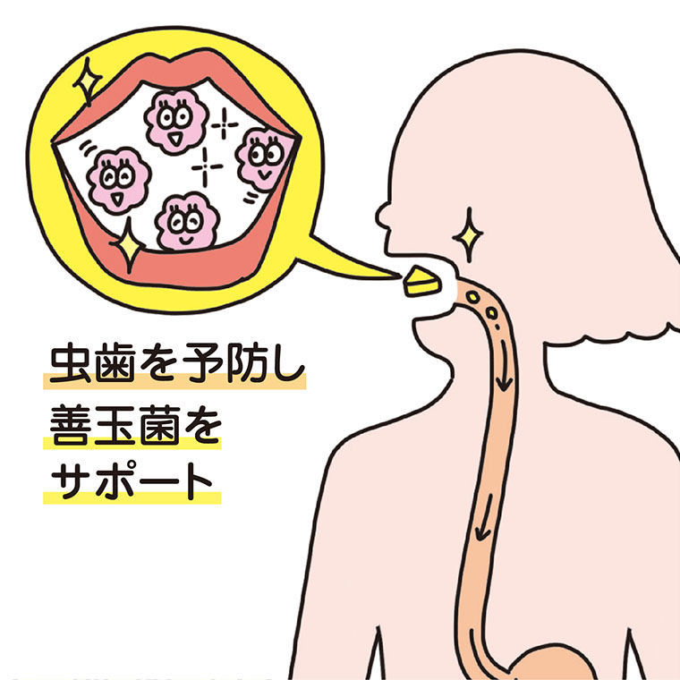 虫歯を予防し善玉菌をサポート