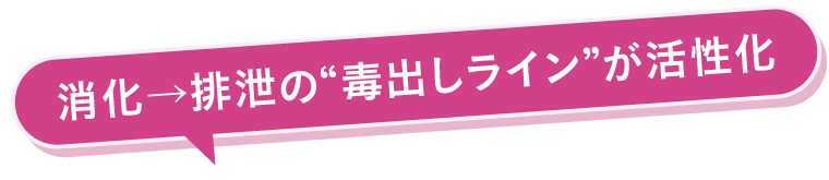 消化→排泄の“毒出しライン”が活性化