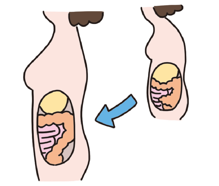 胃腸を正しい位置に