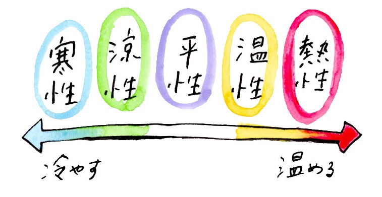 東洋医学の食べ物が持つ性質