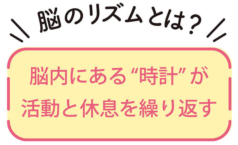 脳のリズムの定義