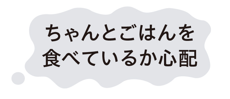 ちゃんとご飯を食べているか心配