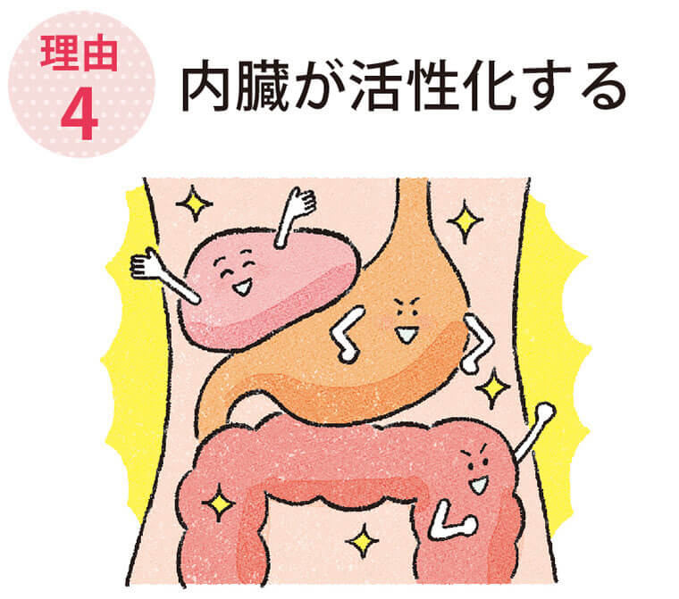 内臓が活性化する