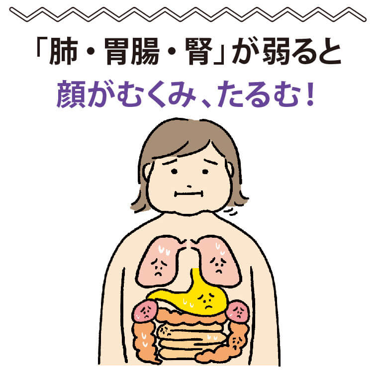 「肺・胃腸・腎」が弱ると、顔がむくみ、たるむ
