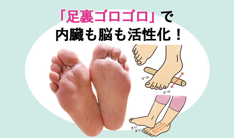 gorogoro_メイン画像