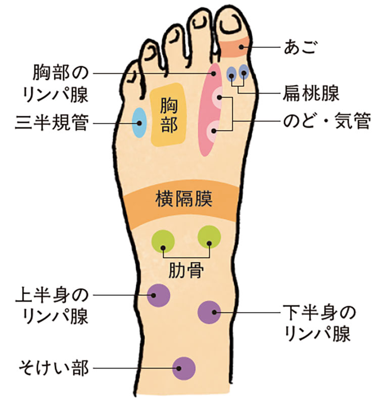 gorogoro_足の甲の刺激されるポイント