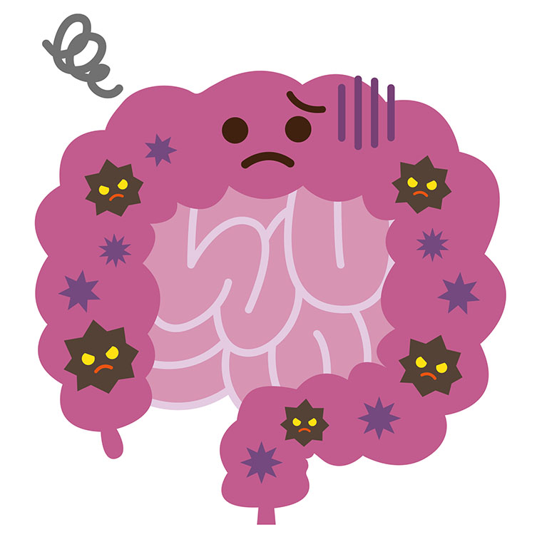 腸内のカビ